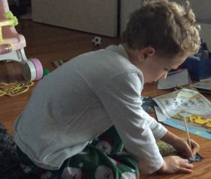 Animal trackers giraffe15