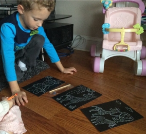 Animal trackers giraffe6