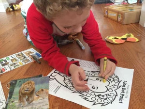 animal_trackers_lion5_new
