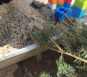 shoreline_protection4