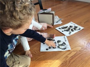 animal trackers11